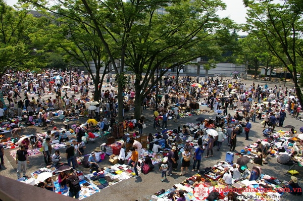 lịch chợ trời công viên yoyogi tokyo