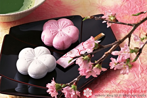 Nghệ thuật ẩm thực Nhật trong bánh wagashi 1