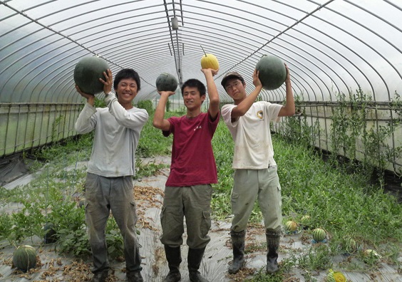 Cần tuyển 10 nam thực tập sinh làm nông nghiệp ở Nhật Bản