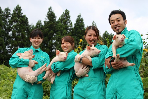 Thực tập sinh ngành nông nghiệp chăn nuôi tại Nhật Bản làm những công việc gì?