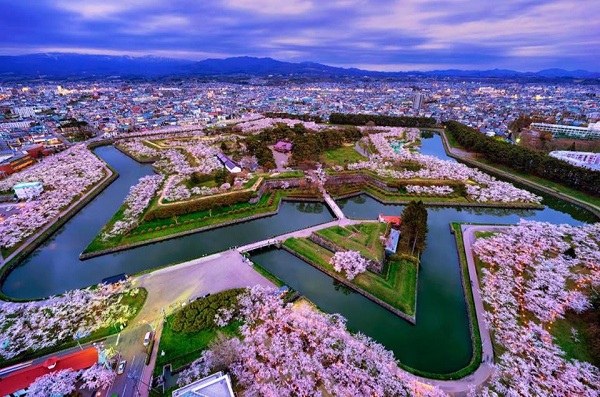 Top 7 địa điểm tuyệt vời nhất để ngắm hoa anh đào ở Nhật Bản