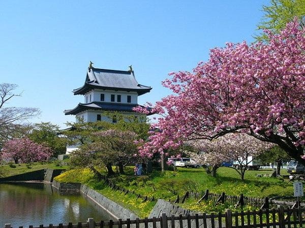  Công viên Matsumae-koen - Địa điểm ngắm hoa anh đào đẹp nhất Nhật Bản