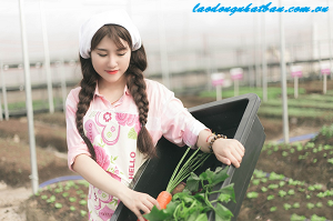 Chi phí đi xuất khẩu lao động Nhật Bản ngành nông nghiệp năm 2020