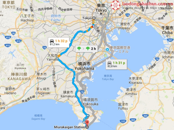 tokyo cách kanagawa bao xa?