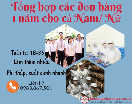 Tổng hợp các đơn hàng 1 năm cho cả Nam và Nữ trong tháng 12/2020