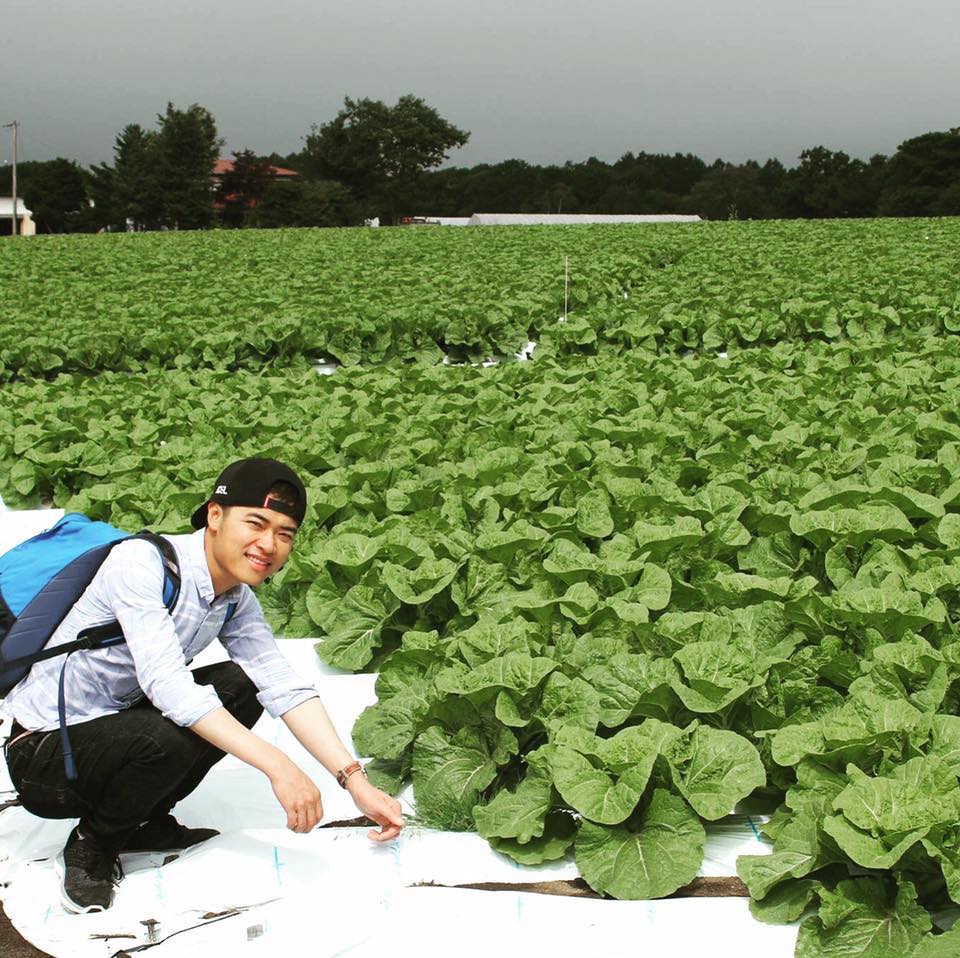 Chia sẻ về công việc thực tế của thực tập sinh nghành Nông nghiệp tại Nhật Bản
