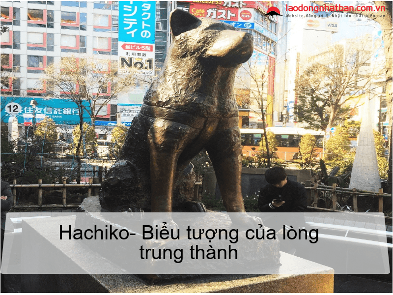 Chú chó Hachiko – biểu tượng của sự trung thành Nhật Bản 