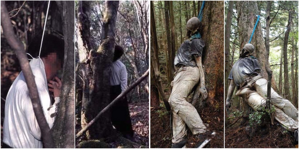 Khu rừng tự sát ở Nhật Bản những bước chân ĐẾN mà không VỀ….