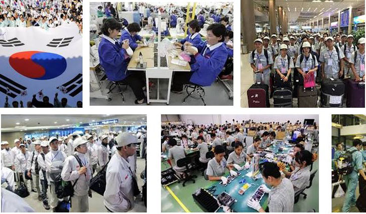5 lý do khiến người lao động chọn Nhật Bản thay vì Hàn Quốc