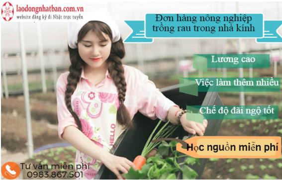 Nong-nghiep