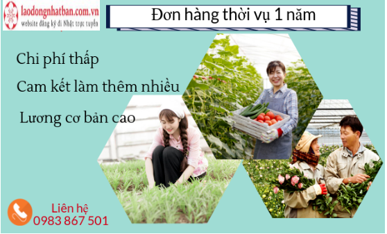 Don-hang-thoi-vu-1-nam