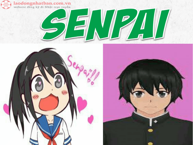 Senpai là từ gì trong tiếng Nhật?
