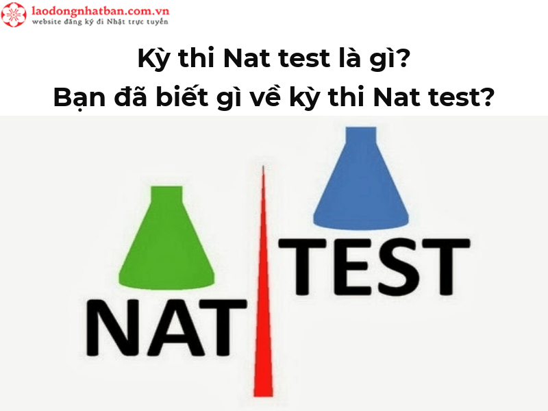 Kỳ thi Nat test là gì? Bạn đã biết gì về kỳ thi Nat test?