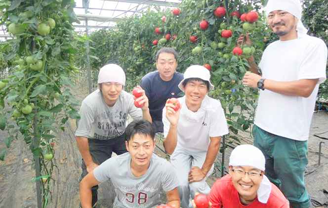 đơn hàng trồng rau Nhật Bản