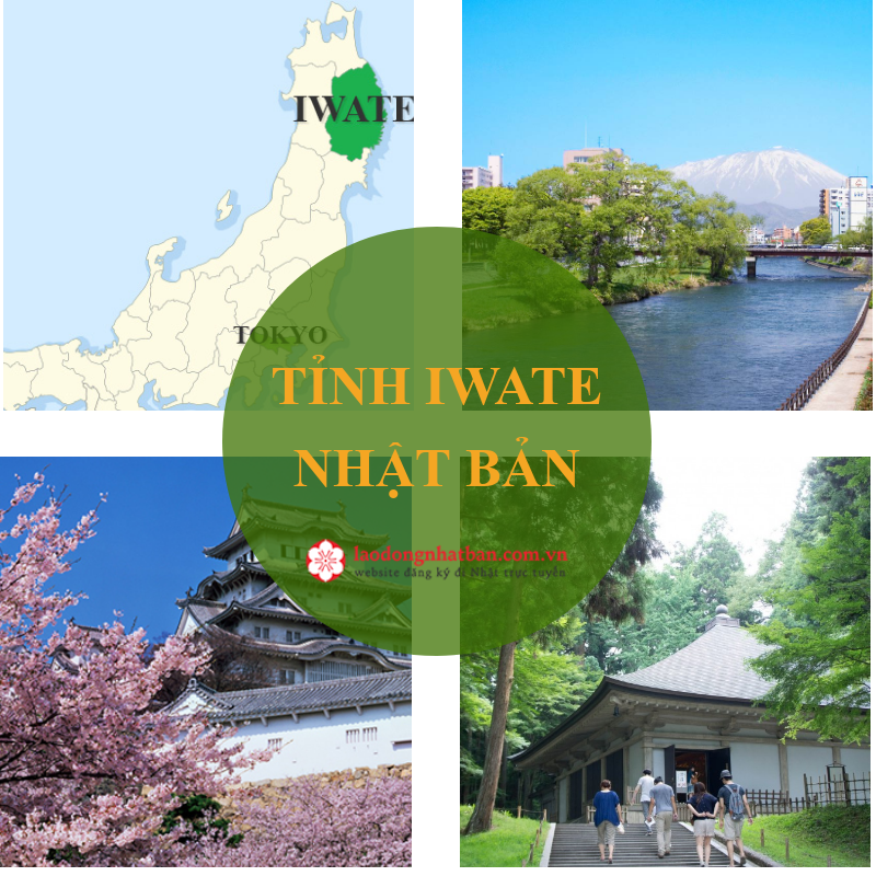 Top 5 đơn hàng đi Nhật mới nhất tại tỉnh Iwate Nhật Bản