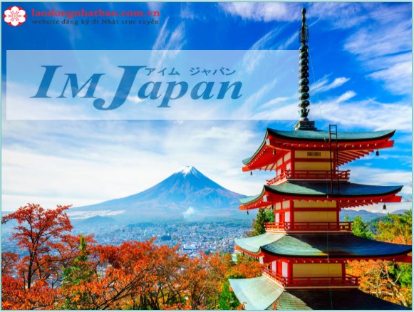 Chương trình IM Japan là gì? Hướng dẫn tham gia chương trình MJ Japan