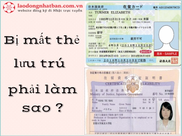 Thực tập sinh phải làm gì khi bị mất thẻ lưu trú tại Nhật?