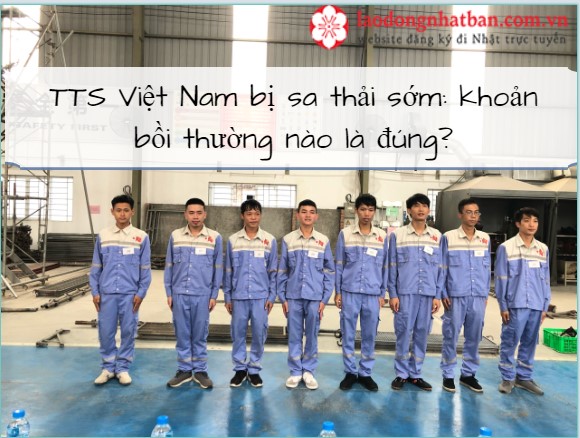 TTS Việt Nam bị sa thải sớm: khoản bồi thường nào là đúng?