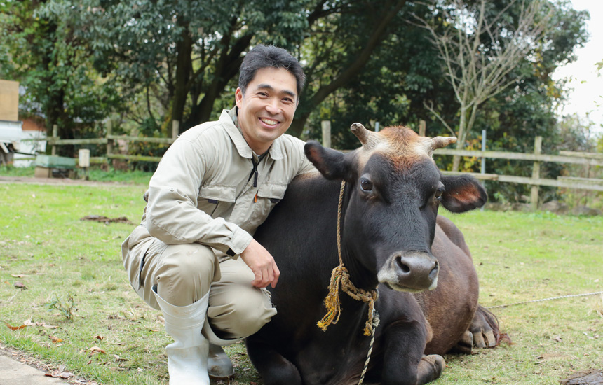 chăn nuôi bò sữa tại hokkaido