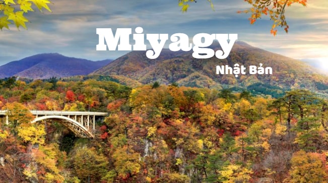 Tỉnh Miyagi Nhật Bản một tỉnh với vẻ đẹp lôi cuốn, khó quên...