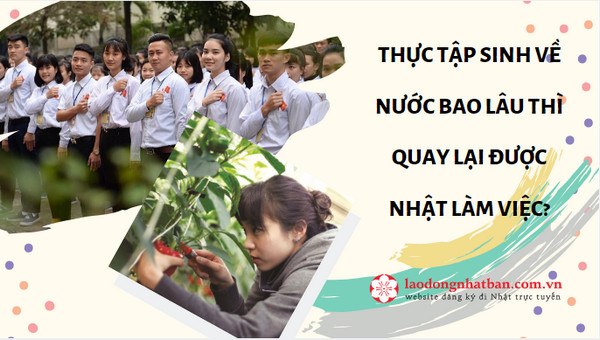 Thực tập sinh về nước bao lâu thì quay lại được Nhật làm việc?