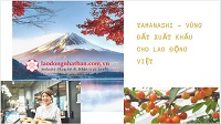Yamanashi - Vùng đất xuất khẩu cho lao động Việt