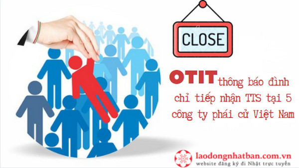 OTIT thông báo đình chỉ tiếp nhận thực tập sinh tại 5 công ty phái cử Việt Nam